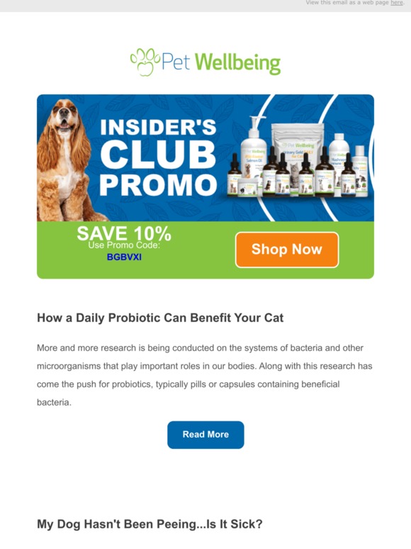 Pet Wellbeing How a Daily Probiotic Can Benefit Your Cat Milled