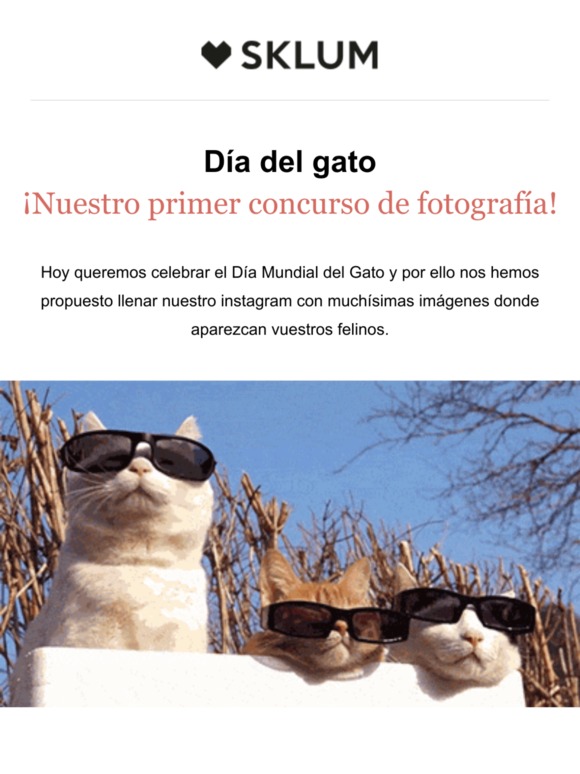 ¡Nuestro primer concurso de fotografía! 📸