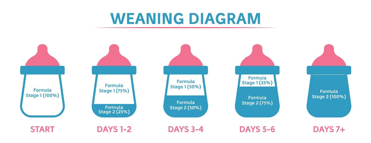 Transition To Formula From Breast Milk | Family Character
