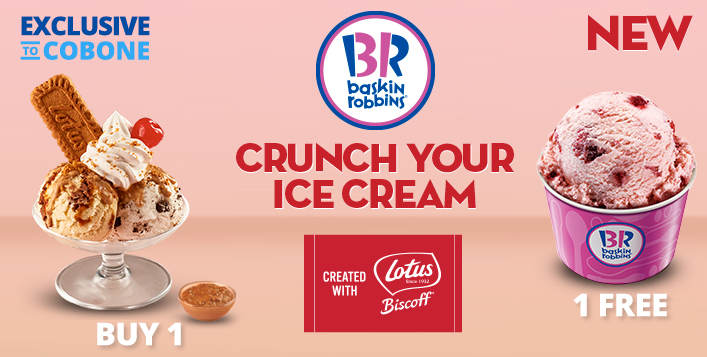 Cobone Baskin Robbins Voucher 5 The Canvas Eid Brunch Fish Co Eid Offer Marina Mega Yacht Cruise Dubai City Tour Package Novotel Fujairah Eid Stay And So Much More Milled