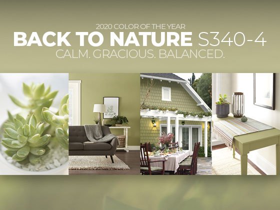 Behr Color Of The Year Back To Nature S340 4 Milled