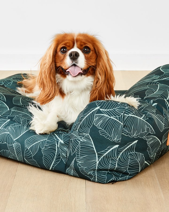 kmart outdoor dog bed