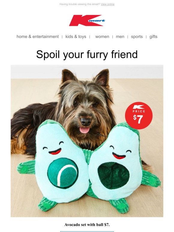 dog stuff kmart