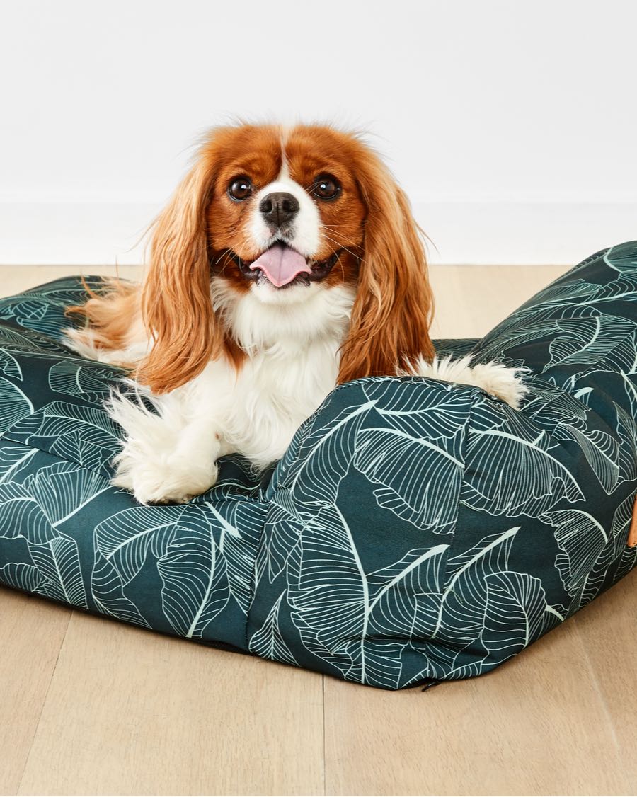 palm leaf dog bed