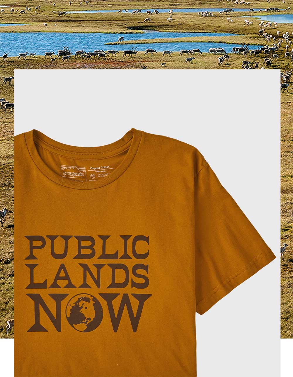 Patagonia: New prints and graphics 