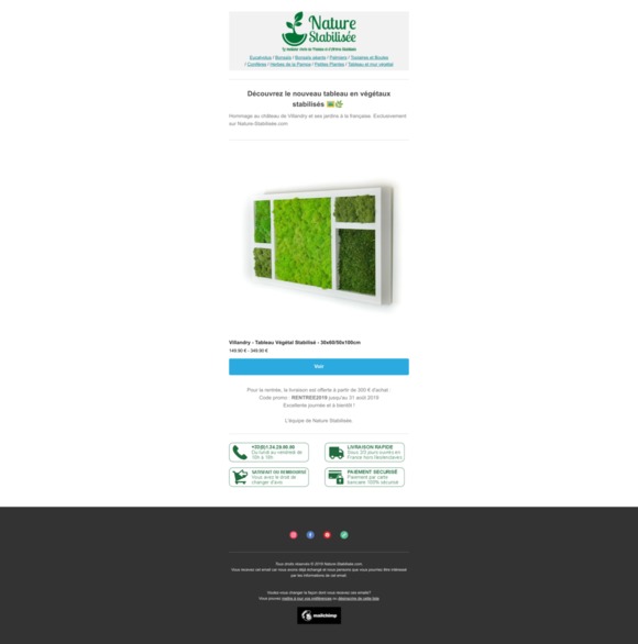 Une petite nouveauté pour votre déco de la rentrée 🌿🌴🌱