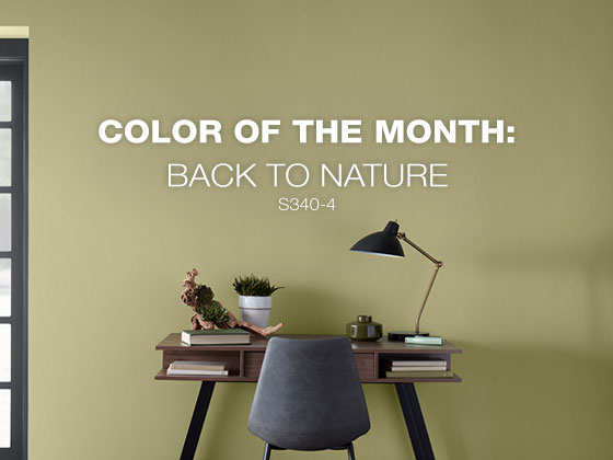 Behr Color Of The Month Back To Nature S340 4 Milled