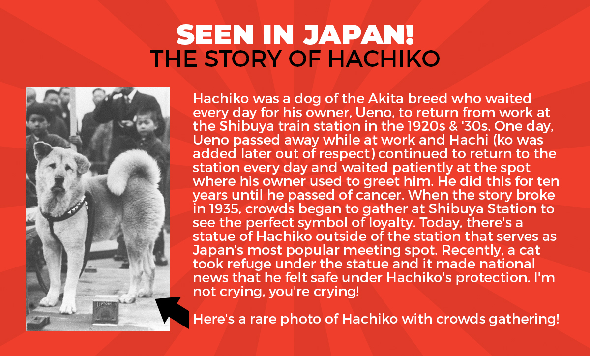 The Otaku Box: Who was Hachiko? | Milled