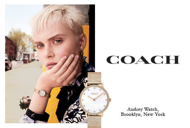 coach mesh watch