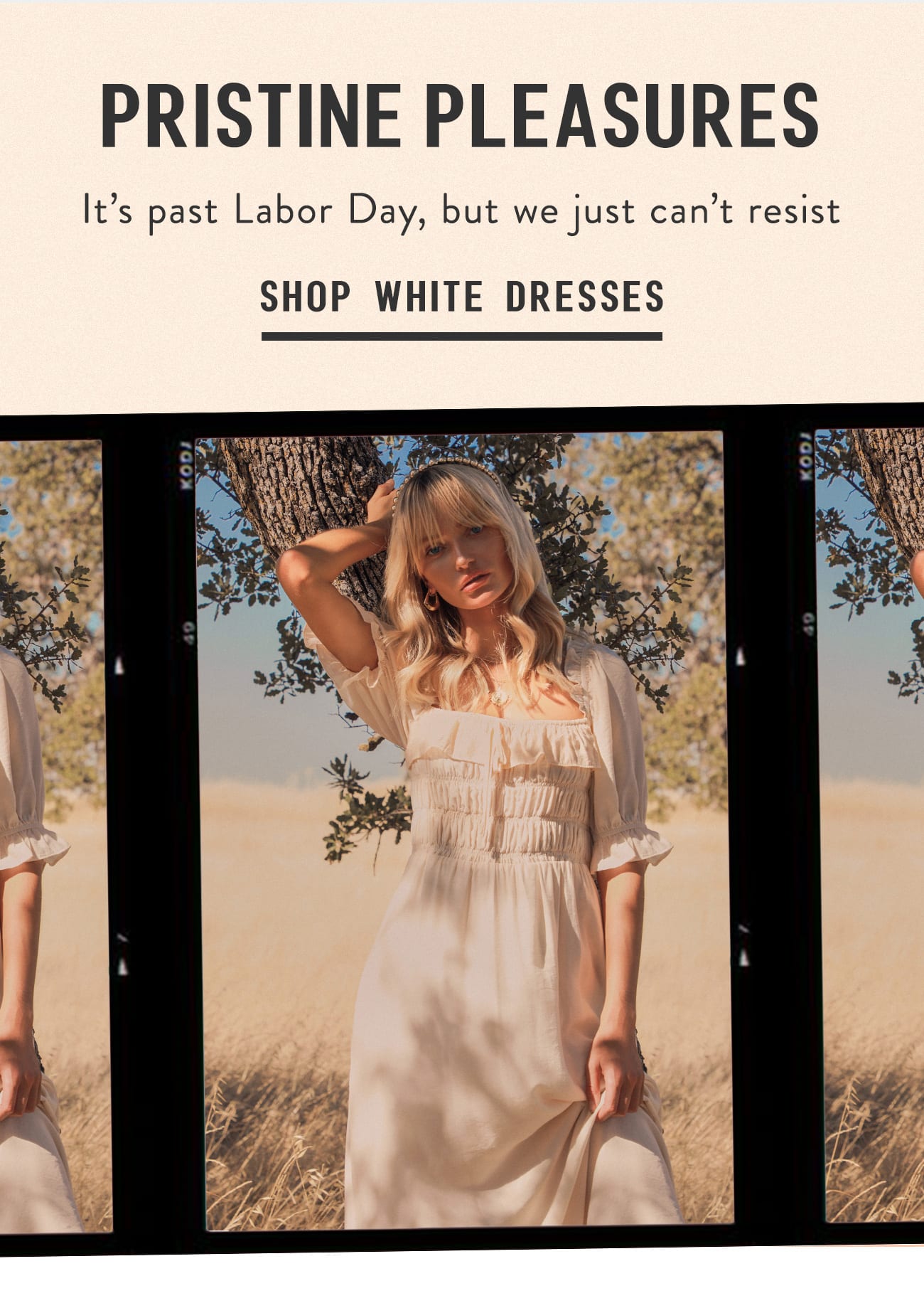 lulus she's gorgeous