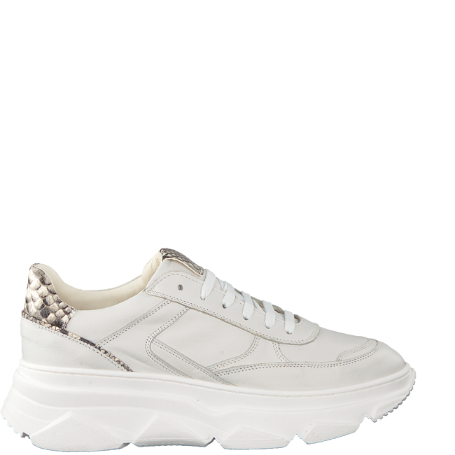 Omoda.be | Passie voor schoenen, sinds 1875: Nieuw van Notre-V | Milled