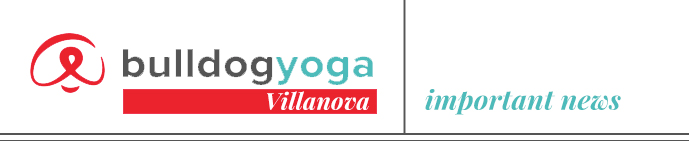 bulldog yoga villanova | important news