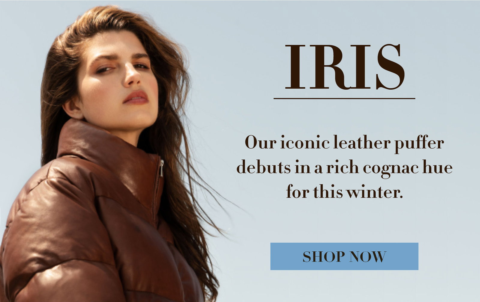 La Marque : JUST ARRIVED: THE PERFECT 