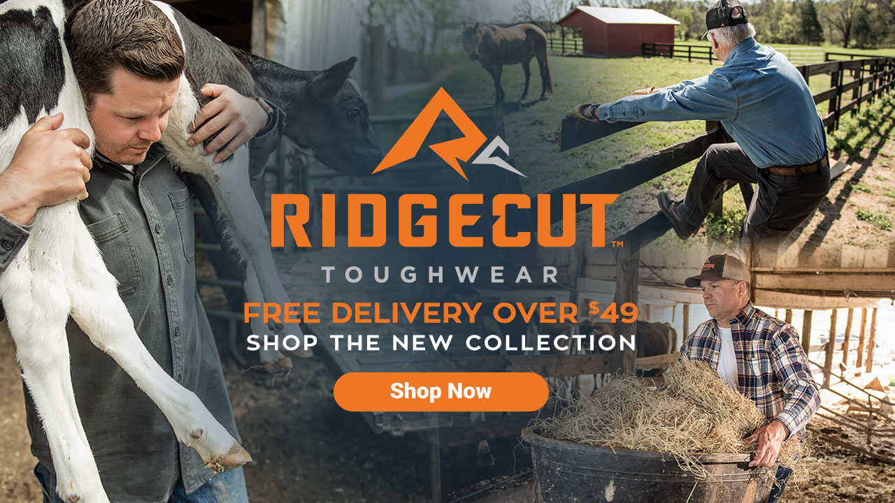 ridgecut toughwear pants