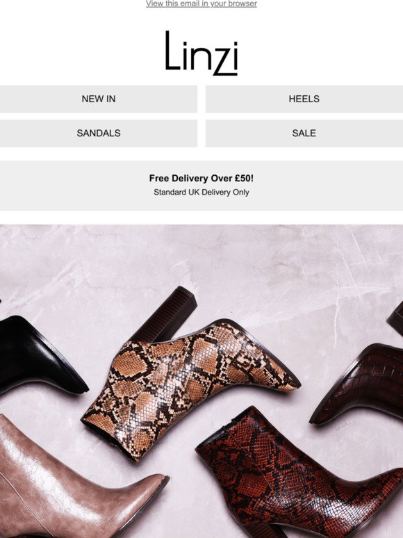Linzi Shoes: The must have boot of the 