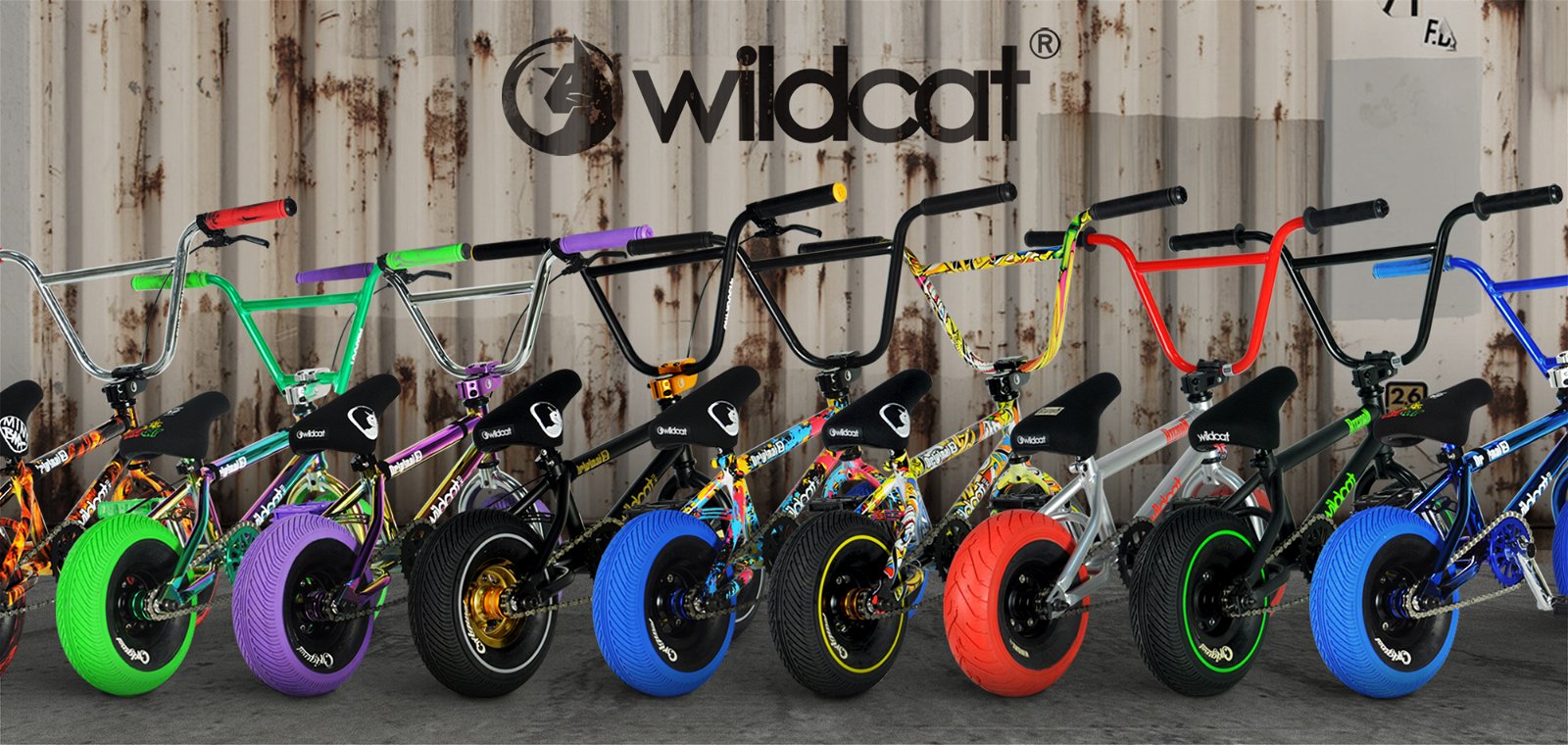 wildcats mini bmx