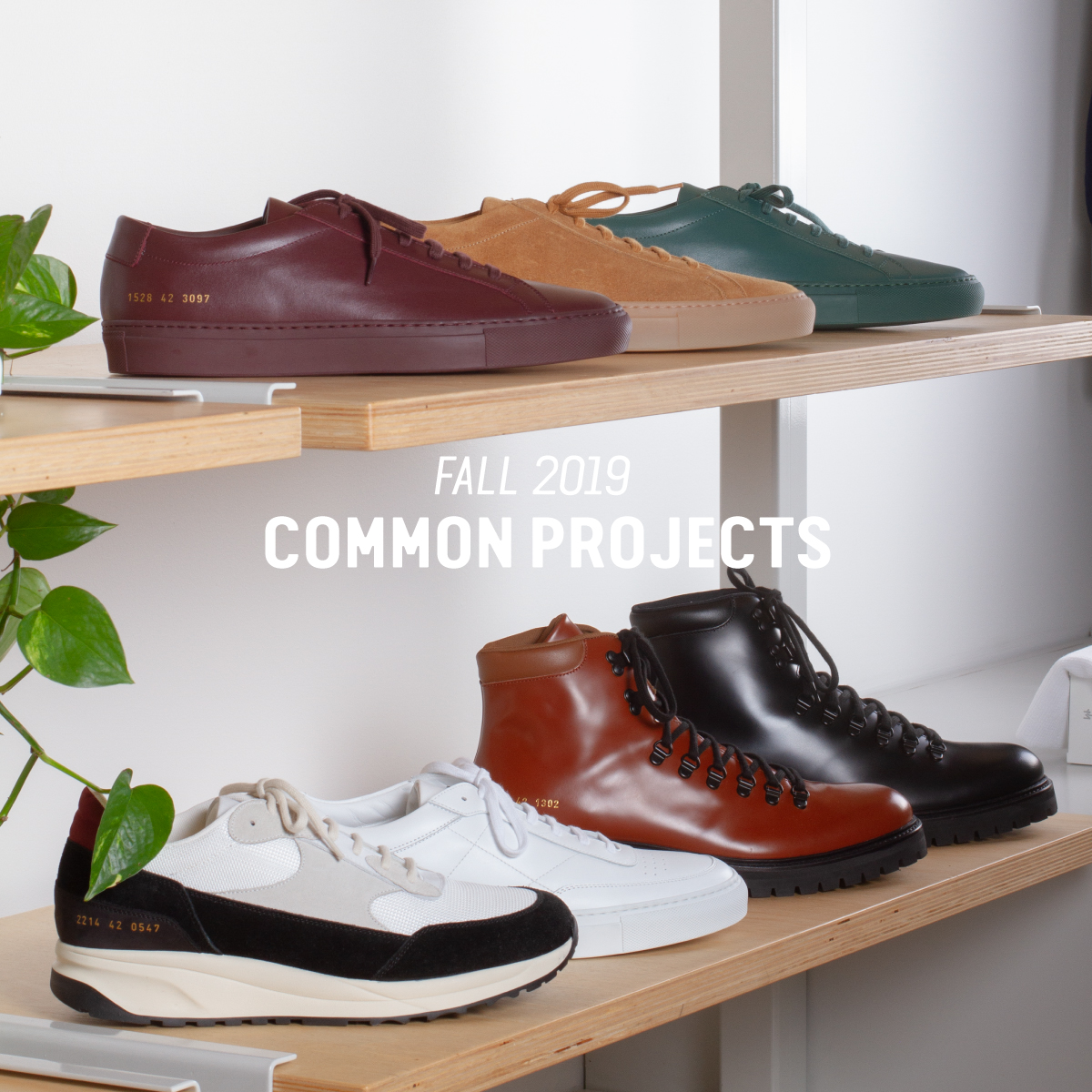 common projects achilles bordeaux