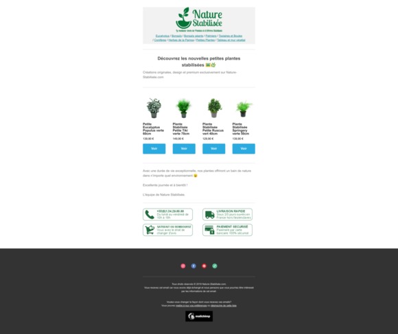 Nous avons de nouvelles plantes pour votre déco 🌿🌴🌱
