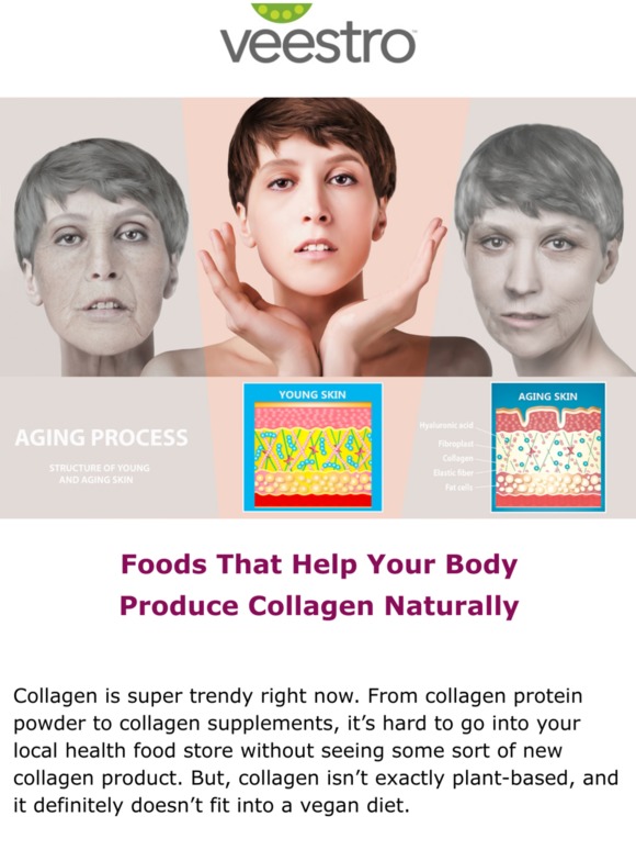 Veestro Foods That Help Your Body Produce Collagen Naturally Milled