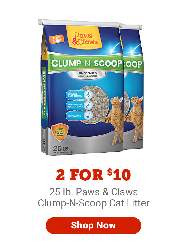 kittens growling while eating