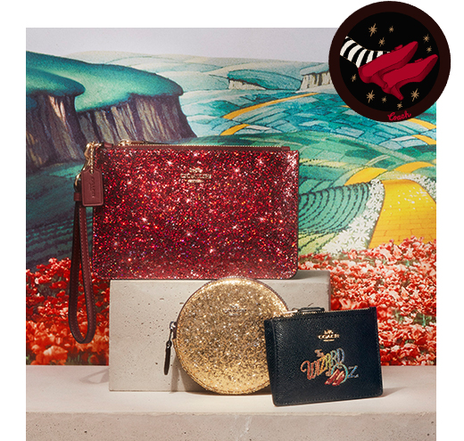 coach wizard of oz wristlet