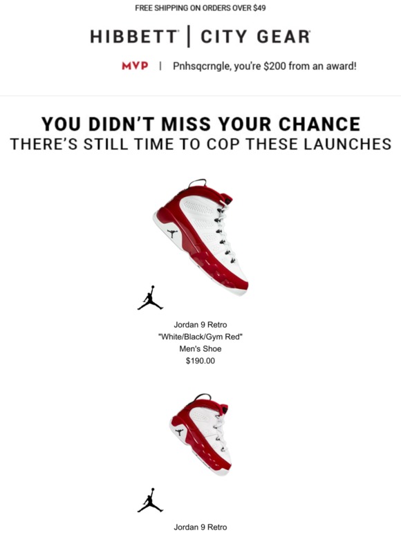 hibbett sports jordan retro 9