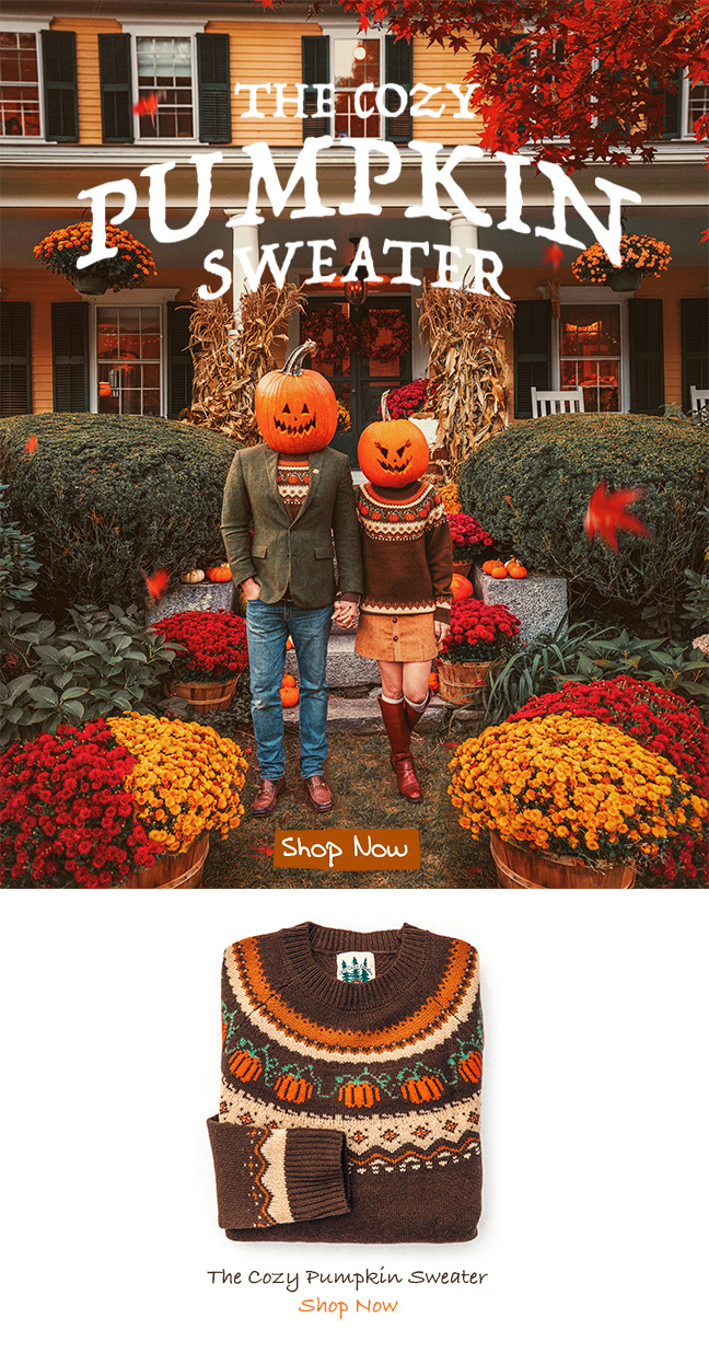 brown pumpkin sweater