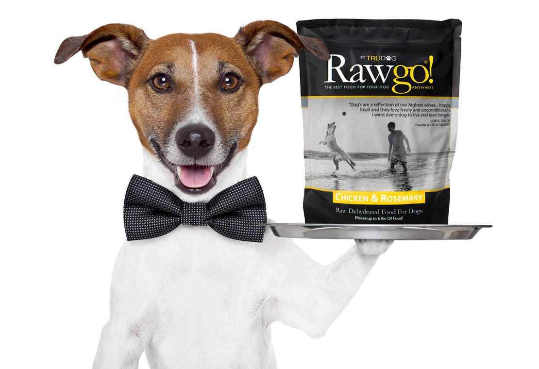 rawgo dog food