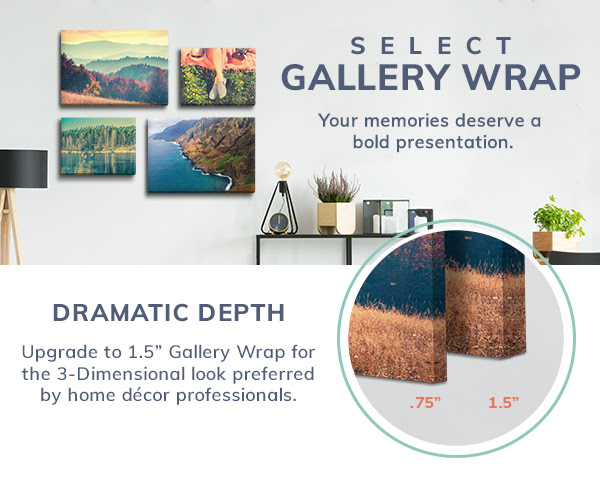 Canvas On The Cheap Unlimited Sale! 11x14 Canvas Prints For 9.99 Each