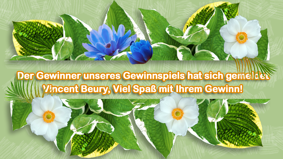 Samenkaufen De 60 Rabatt Auf 100 Tulpen Milled