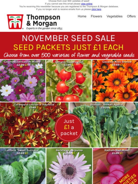 Thompson & SEED SALE £1 A PACKET! Milled