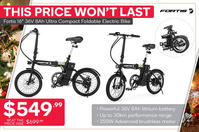fortis foldable electric bike