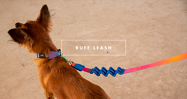 the ruff leash