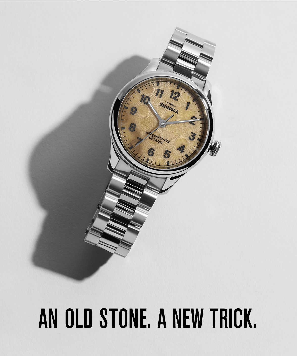 Shinola petoskey stone watch for clearance sale