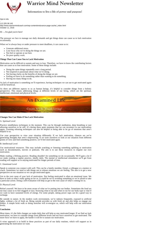 -Warrior Mind Newsletter: How To Regain Your Motivation