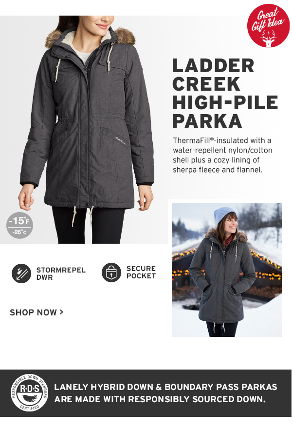 Eddie bauer ladder 2025 creek parka