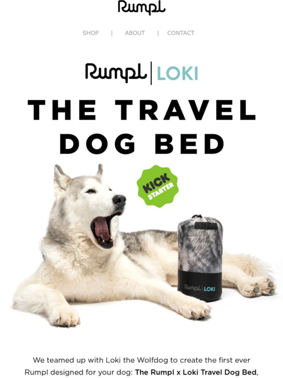 rumpl dog bed