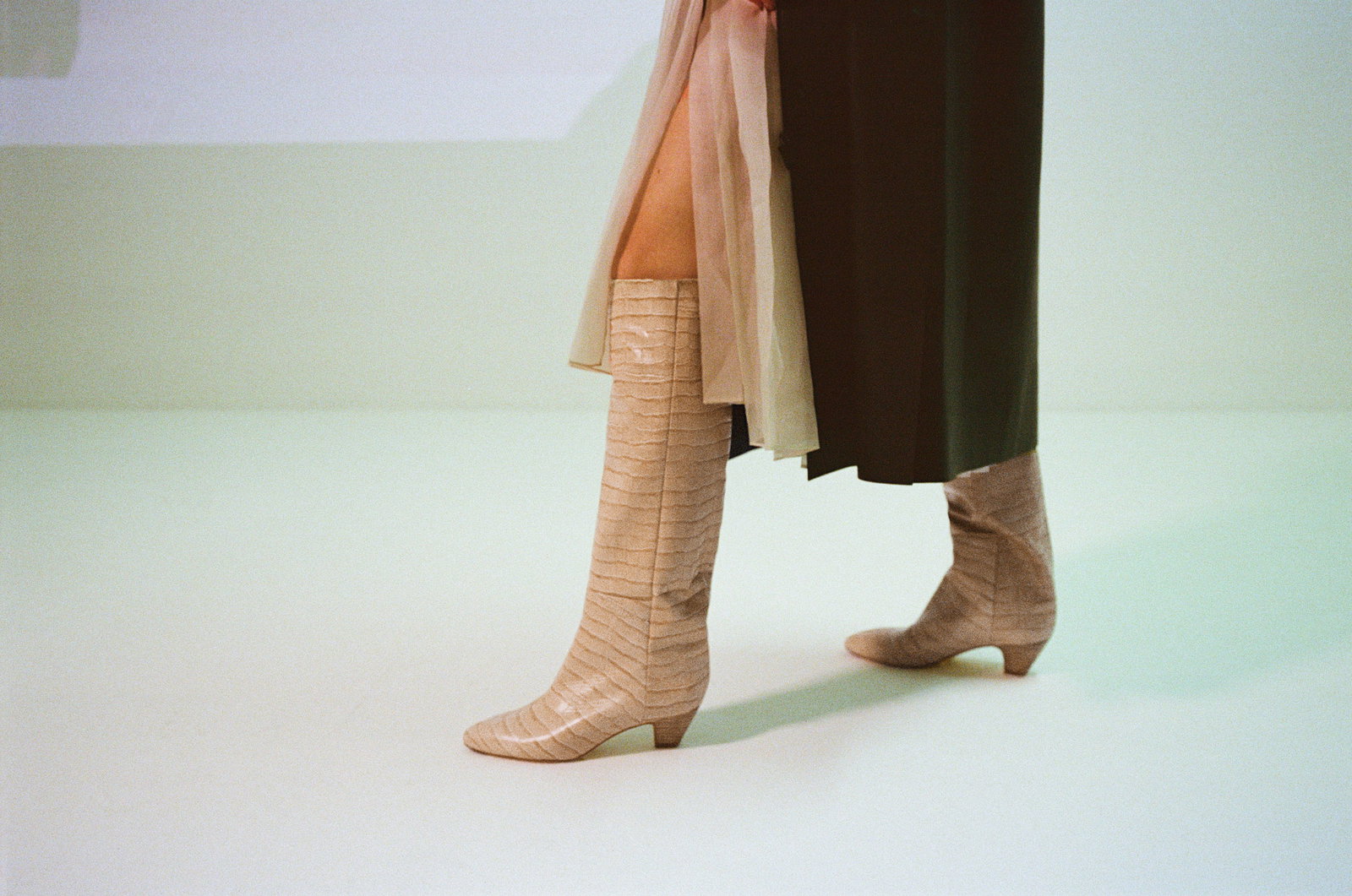miista knee high boots