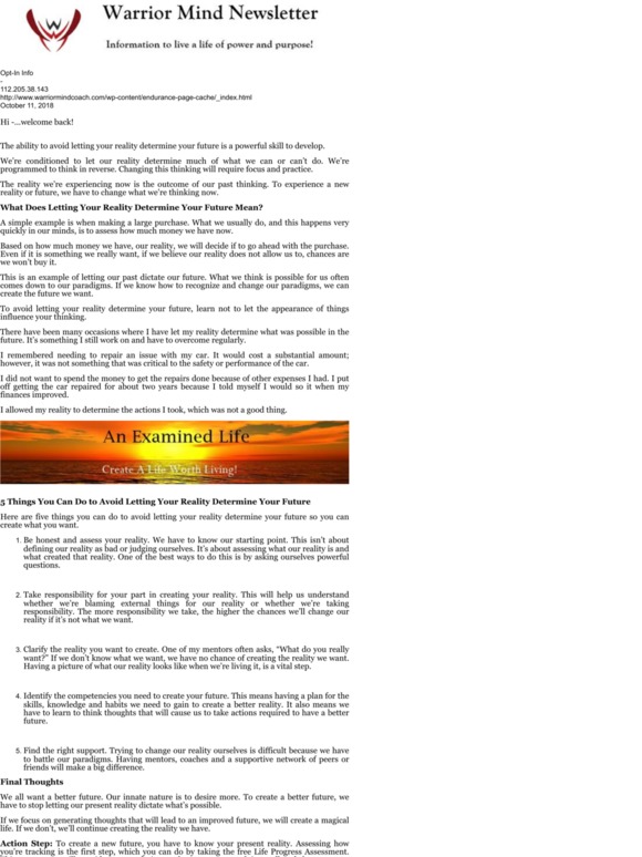 -Warrior Mind Newsletter: Don’t Let Your Reality Determine Your Future