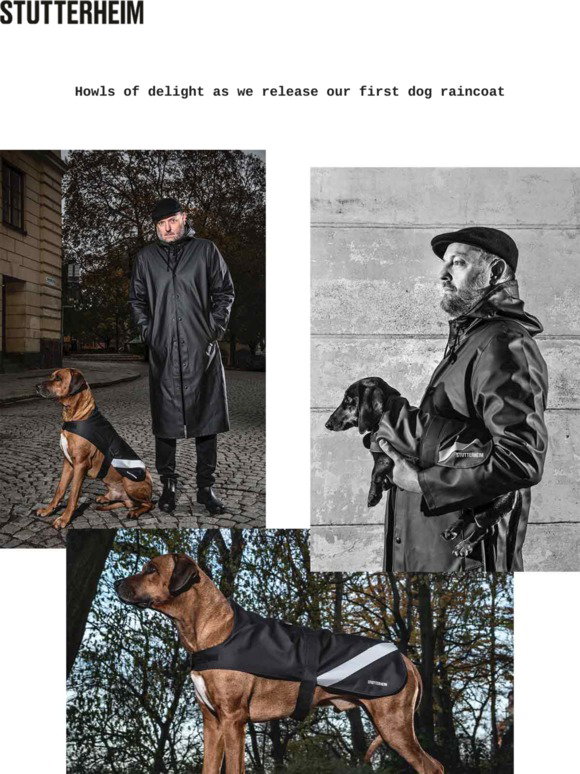 stutterheim raincoat dog