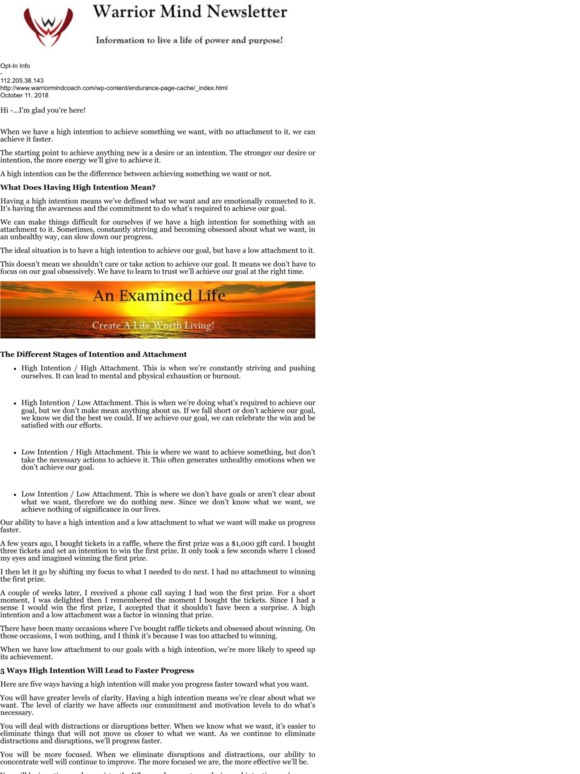 -Warrior Mind Newsletter: The Power of Intention