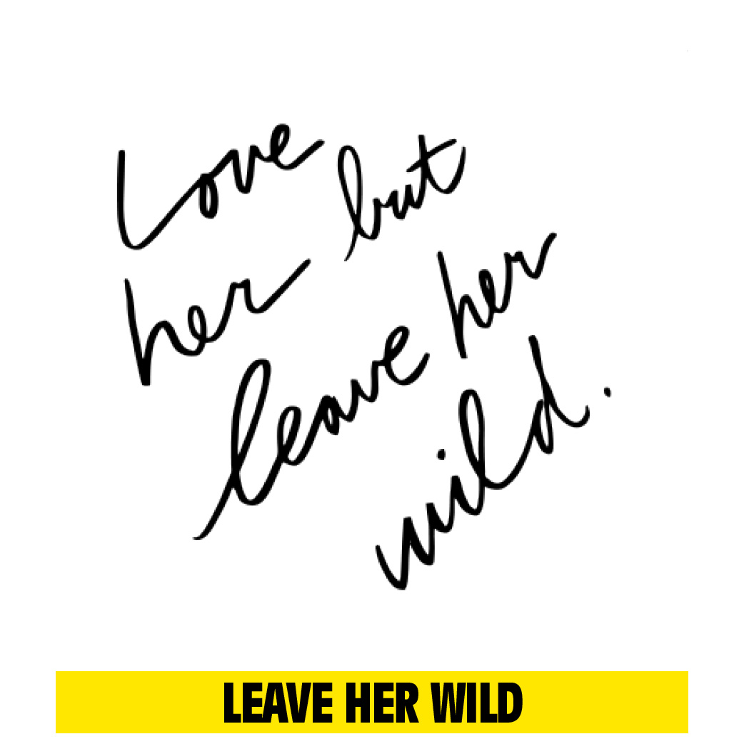 Inkbox Tattoos Find Your Wild Inkbox Atticus Is Here Milled