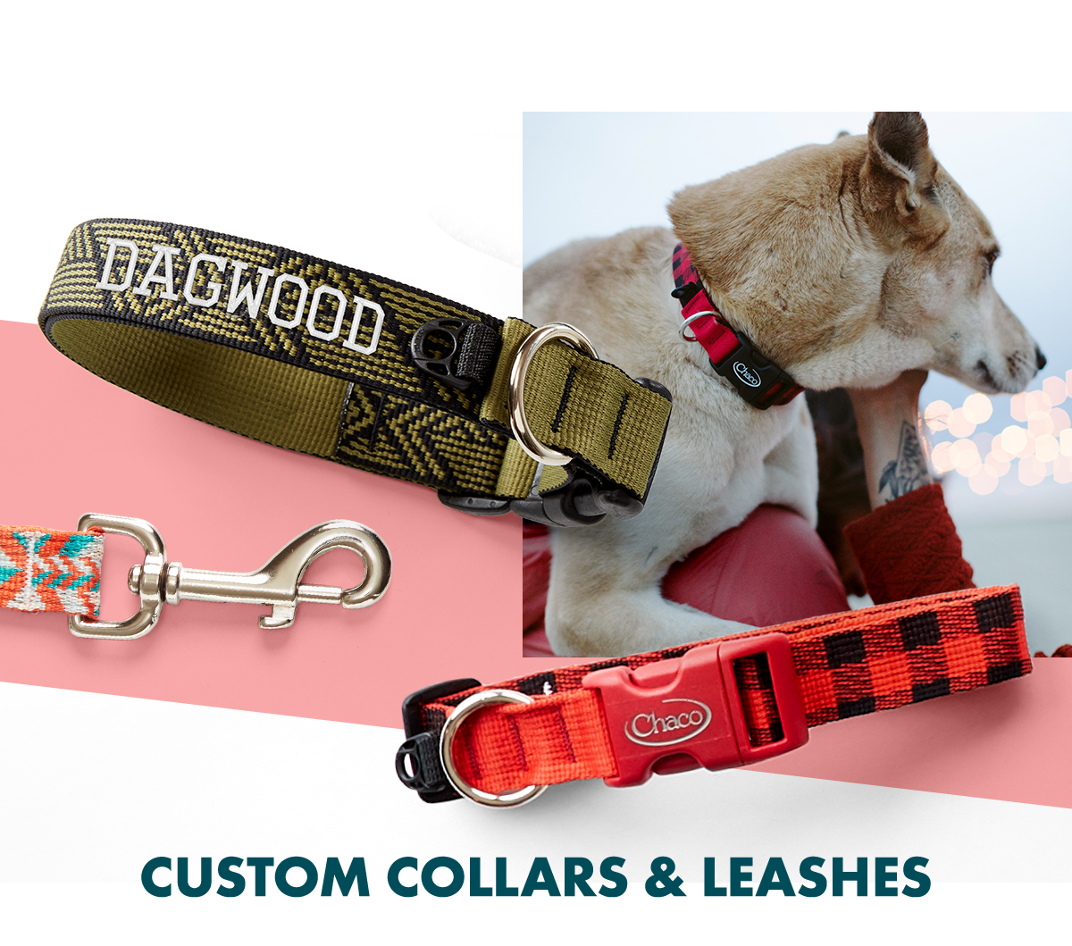 chaco custom dog collar