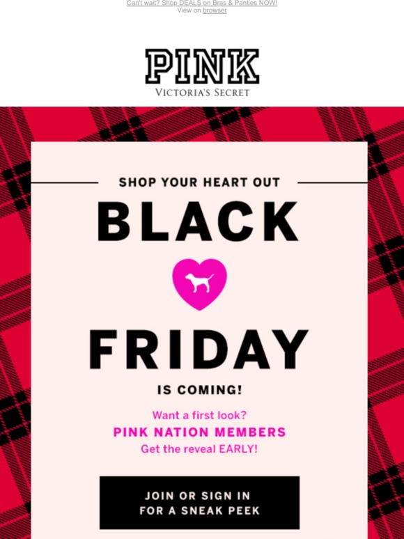 Victoria's Secret BLACK FRIDAY REVEALED...GET READY FOR DEALS! Milled