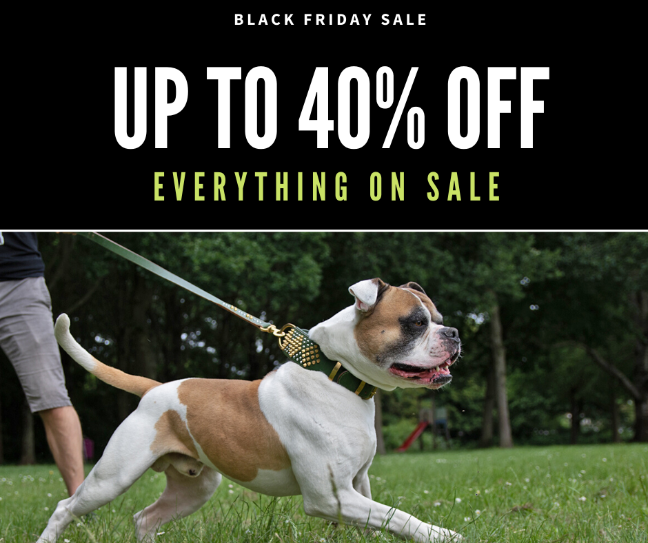 rogue royalty harness