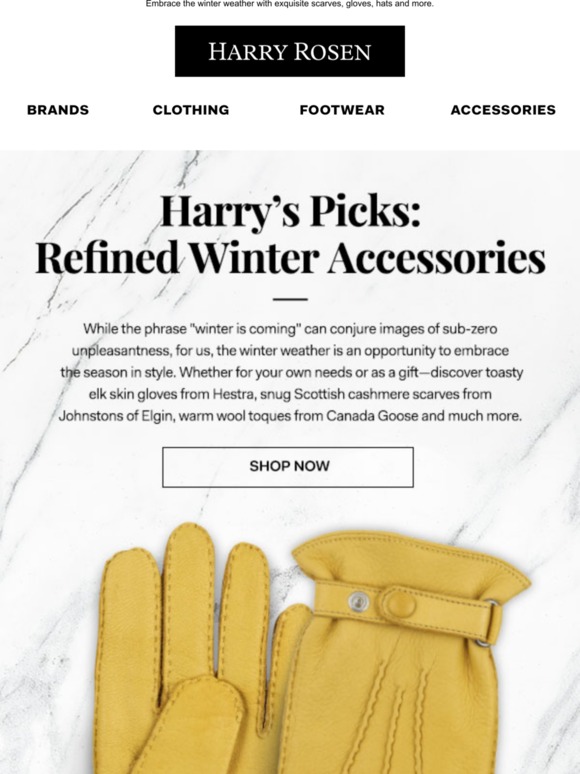 harry rosen cashmere scarf