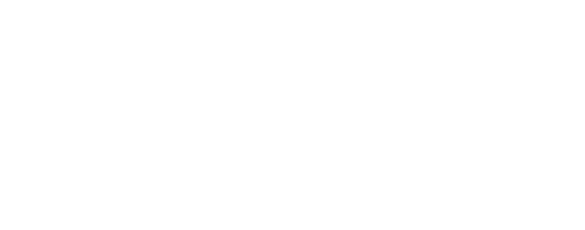 baggu black friday sale