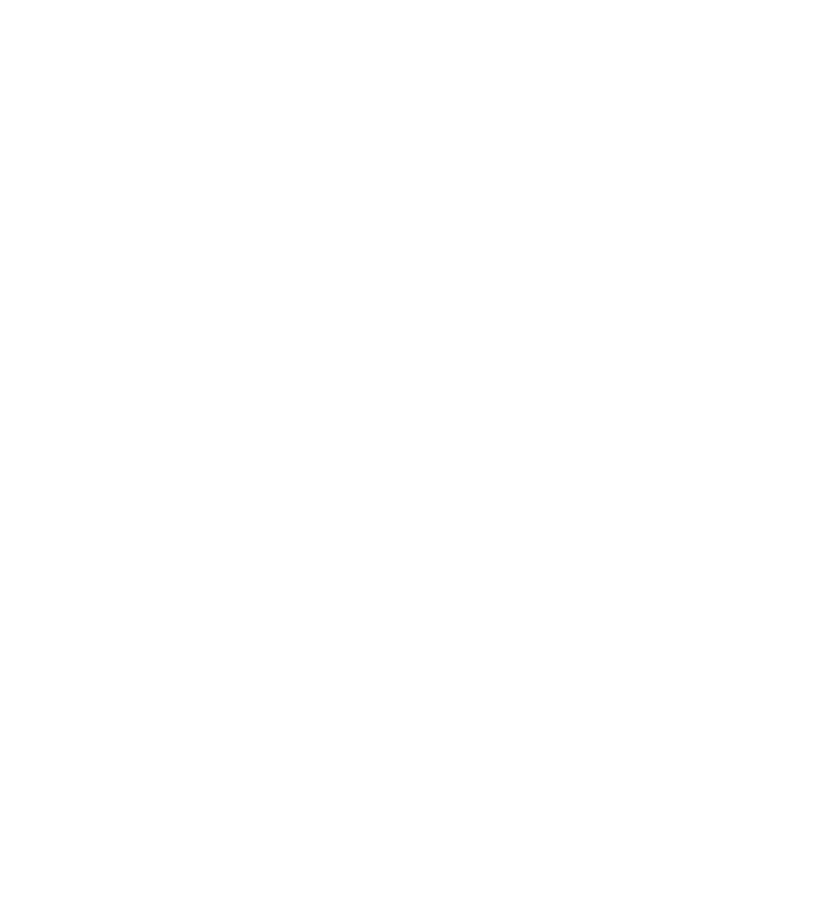 baggu black friday sale