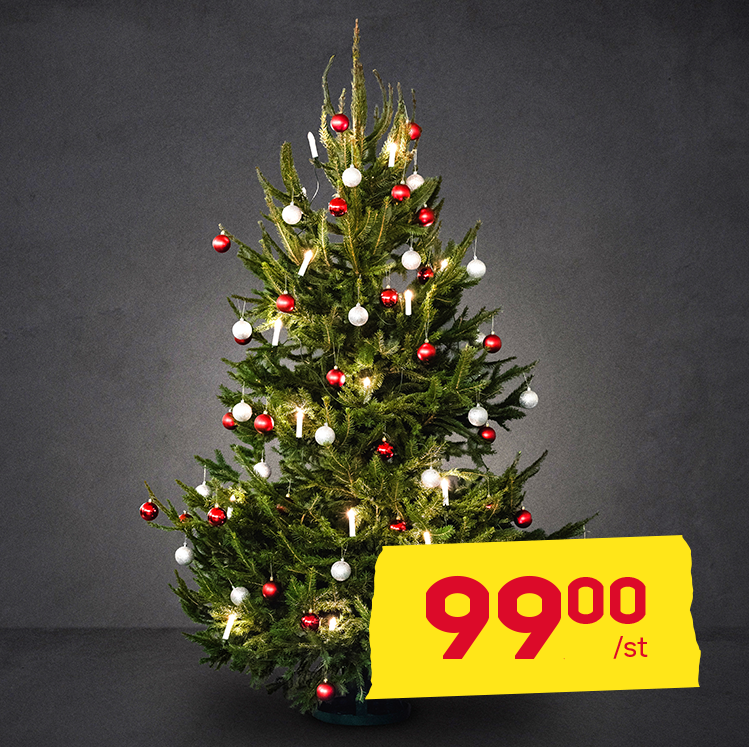 Byggmax Köp din julgran för under 100 kr! 🎄 Milled