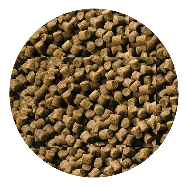 skretting pellets 25kg